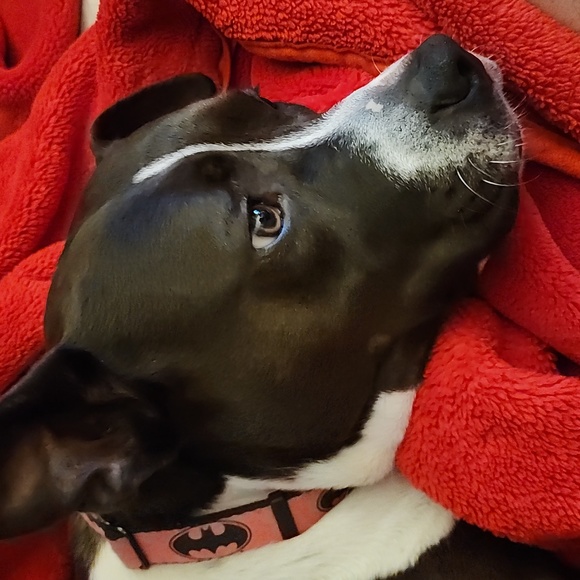 Meet your Posher, Airihi - Picture 5 of 12